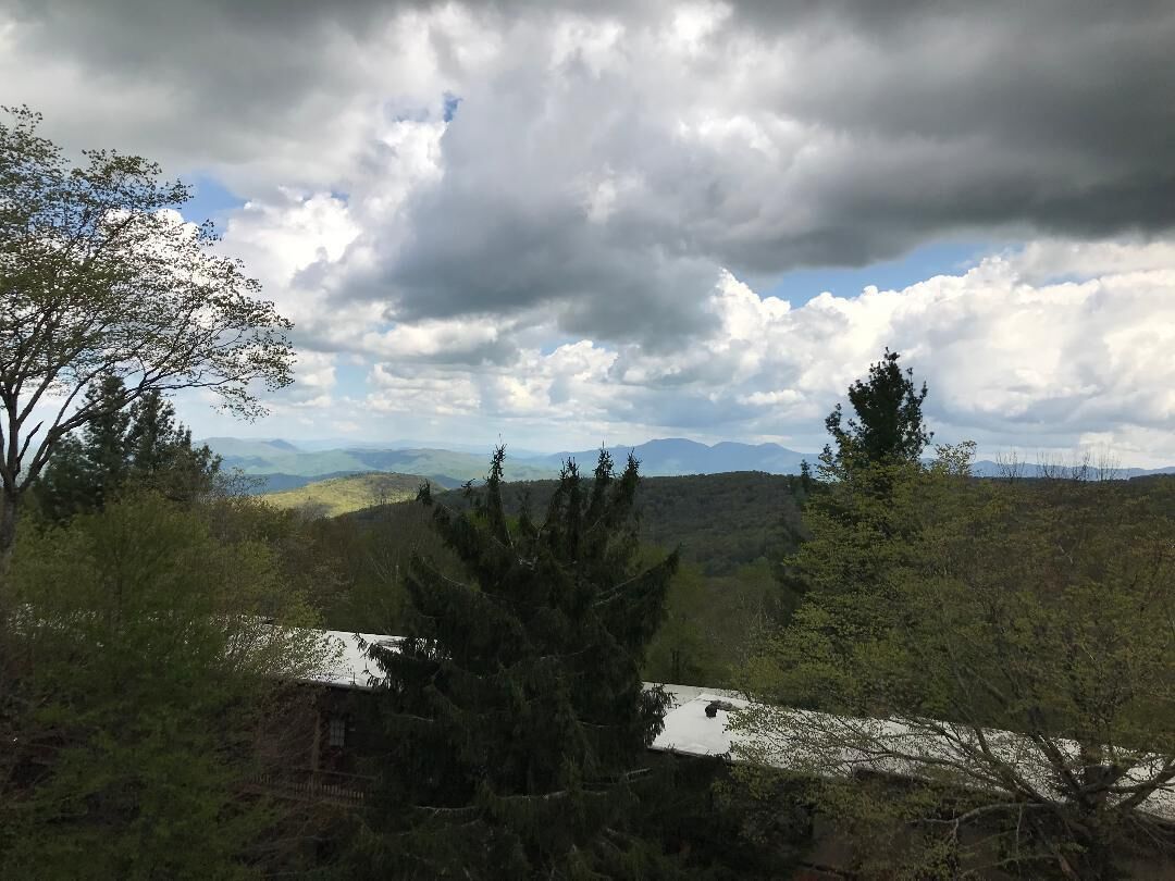 A landscape with trees and hills in the background.