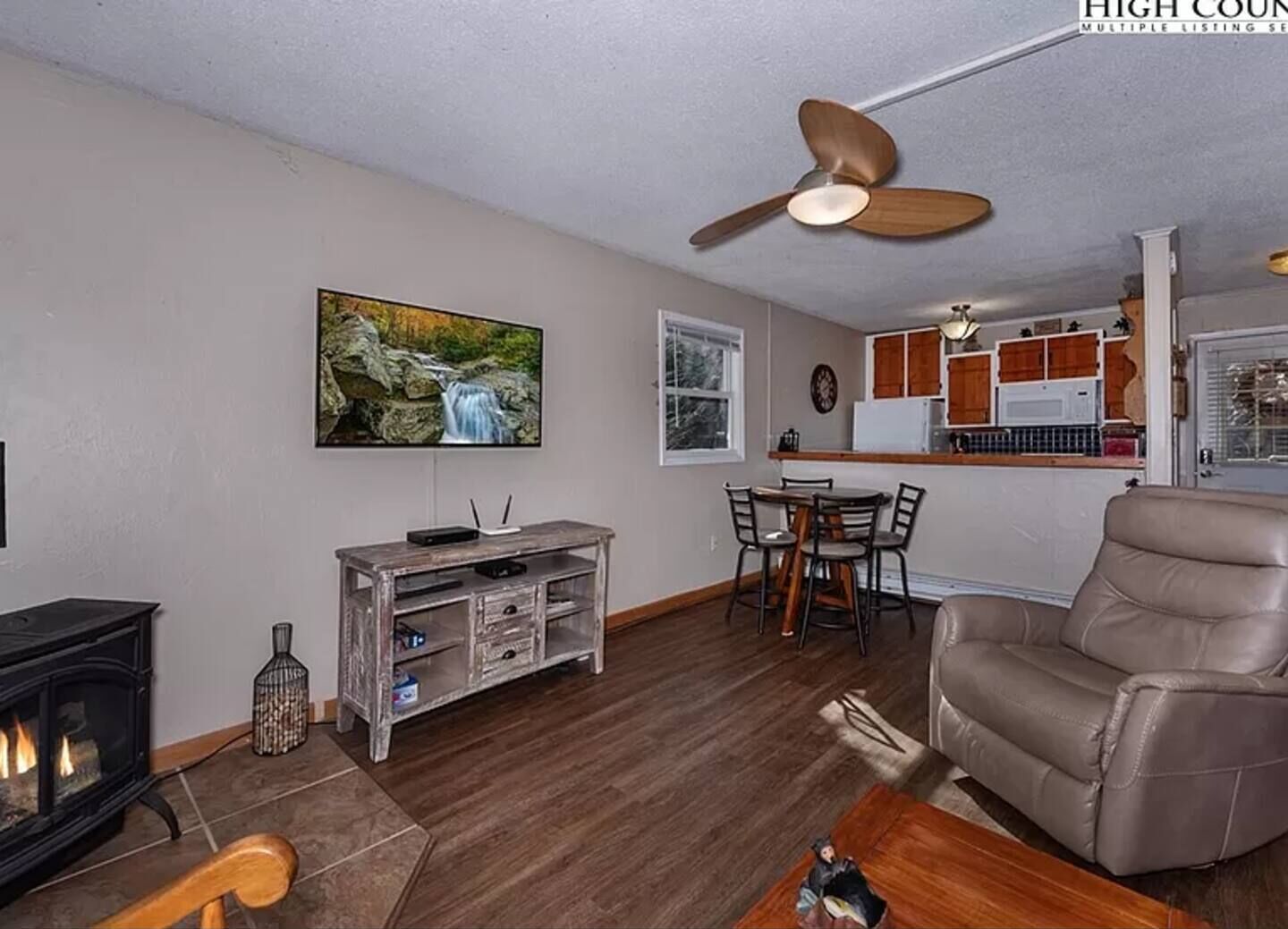 TV, fireplace, books