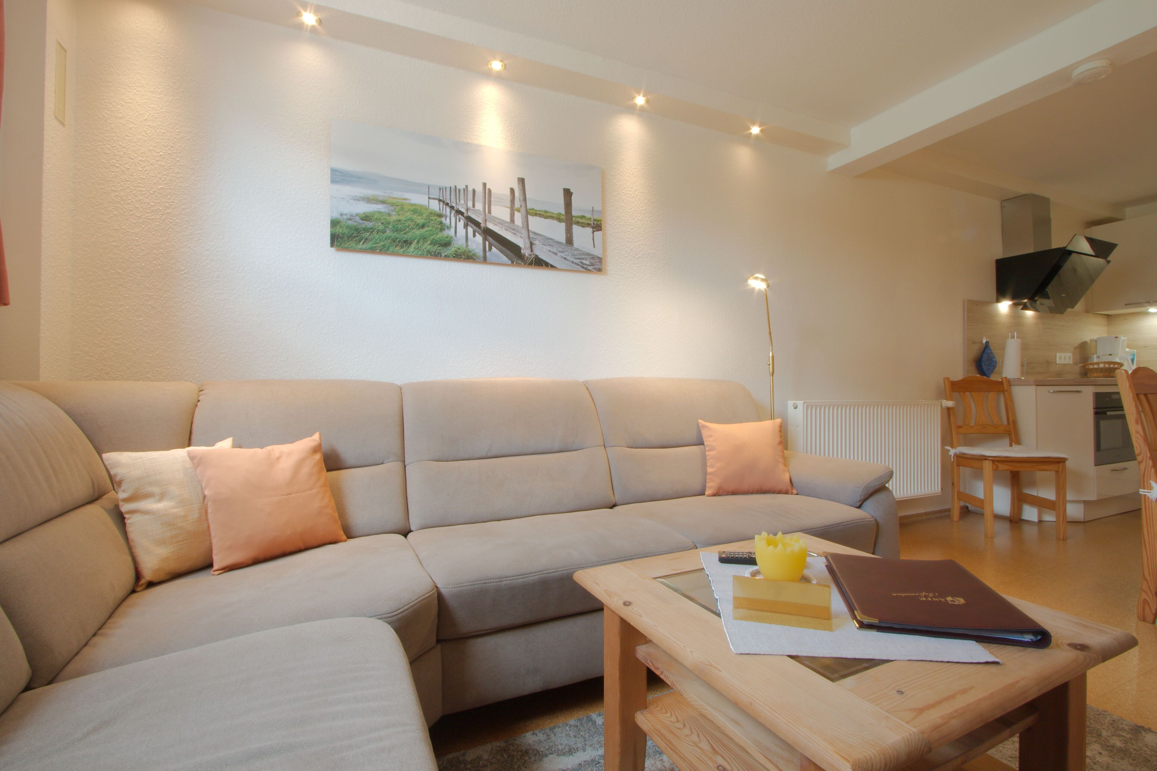 TV, DVD player, livros, aparelho de som