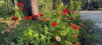 The Marsh site at Privacy RV campgrounds of Steinhatchee- Awesome, private!