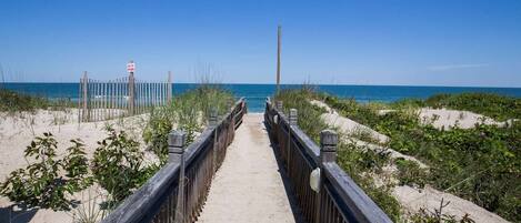 بالقرب من الشاطئ