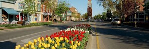 A street lined with colorful tulips and a clock tower in the background. - Doctor's Lounge - An Executive Home in Niagara (St. Catharines)