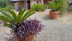Una casa con camino de grava, un toldo azul y plantas en macetas.