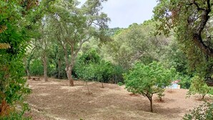 Un parque con un banco y árboles.