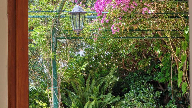 Un patio al aire libre con una mesa y sillas, rodeado de exuberante vegetación y una pérgola con flores rosadas.