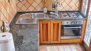 Una cocina compacta con estufa a gas, horno y pileta.
