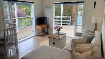 Smart TV, DVD player