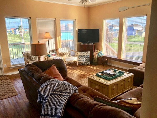 电视、DVD 播放器