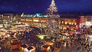 Uma grande árvore de Natal em uma praça pública, com edifícios ao redor e uma multidão de pessoas.