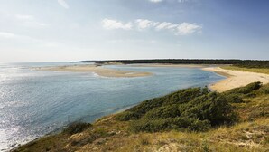 Eine Küstenlandschaft mit sandigem Strand, klarem, blauem Wasser und einem bewaldeten Hintergrund.
