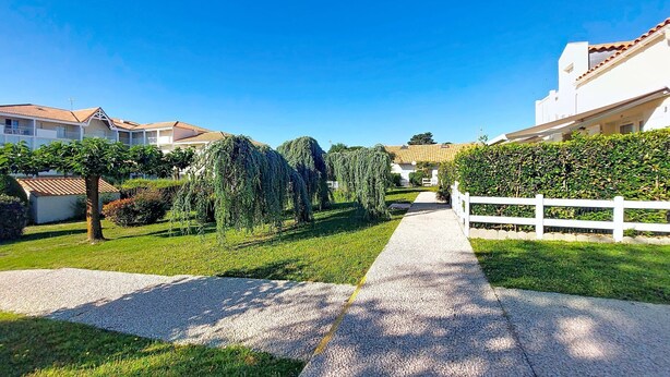 Un camino que conduce a una zona residencial con casas, una cerca blanca y vegetación.