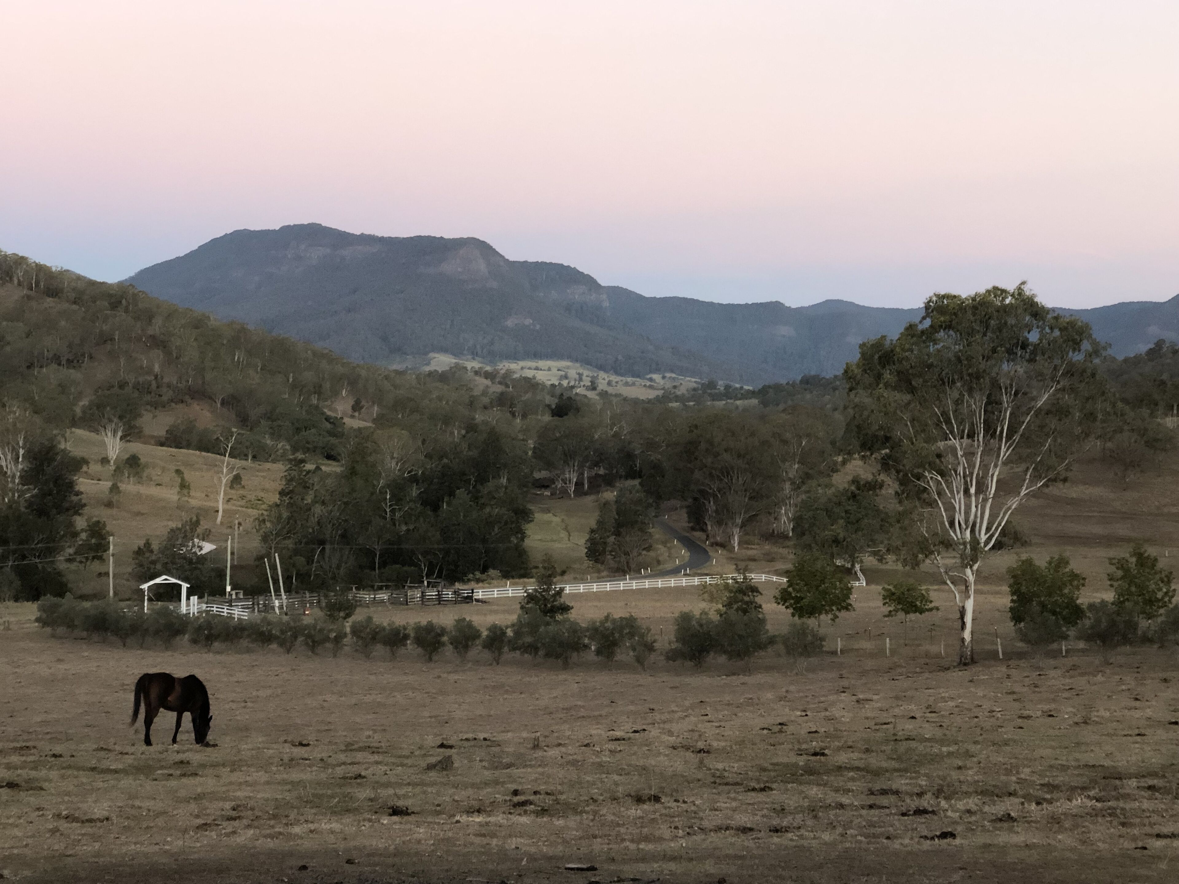 Un cheval broute dans un champ, avec une chaîne de montagnes en arrière-plan.