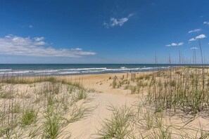 A beach with sand dunes and sparse vegetation.