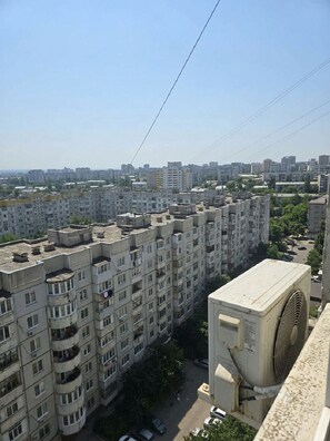 View from property - 1 room apartment Center (Râşcani)