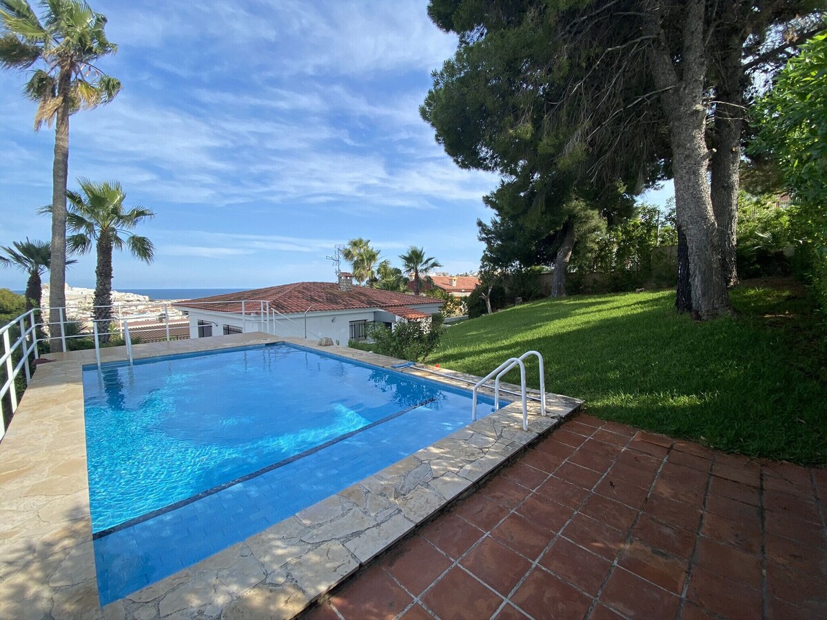 Imagen de perfil del propietario o de la propietaria