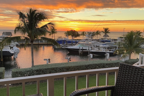 This could be you Sipping your morning coffee or afternoon cocktail here!!