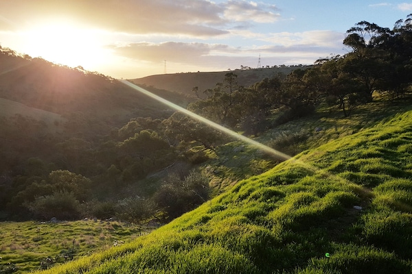 Emmlot Farm valley view at sunset
