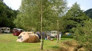 En campingplads med telte og en mindre bygning, omgivet af træer og en græsplæne.