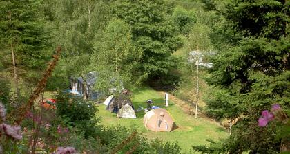 CHALET ROMBACH LE FRANC