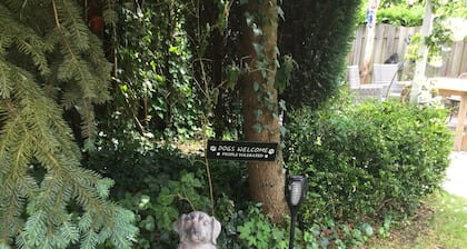 Luxury holiday villa by the sea Wellness sauna "Casa Freddy & Friends" Bruinisse