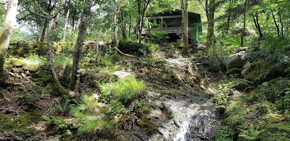 Overnatningsstedets område