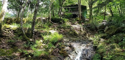 a hidden hut with a terrace overlooking the forest 