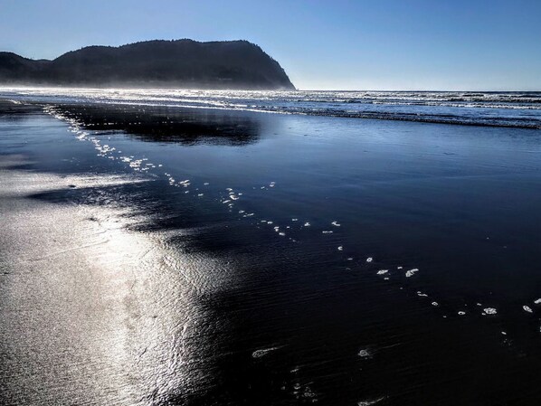 Beach - Oceanfront Condo, Ground Floor, Full Kitchen, Patio, Expansive Views (Seaside)