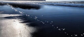 Oceanfront Condo, Ground Floor, Full Kitchen, Patio, Expansive Views