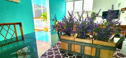 Remodeled and humble apartment in Caguas - Puerto Rico