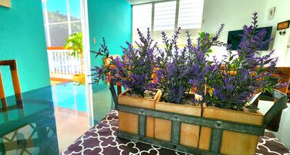 Remodeled and humble apartment in Caguas - Puerto Rico