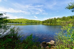 A serene lake surrounded by lush greenery and a clear sky.