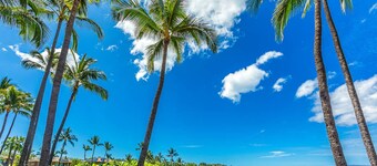 Oceanfront Wailea condo with hot tubs, resort pools summer deals