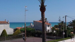 A coastal view with a palm tree, a clear sky, and buildings with red-tiled roofs.