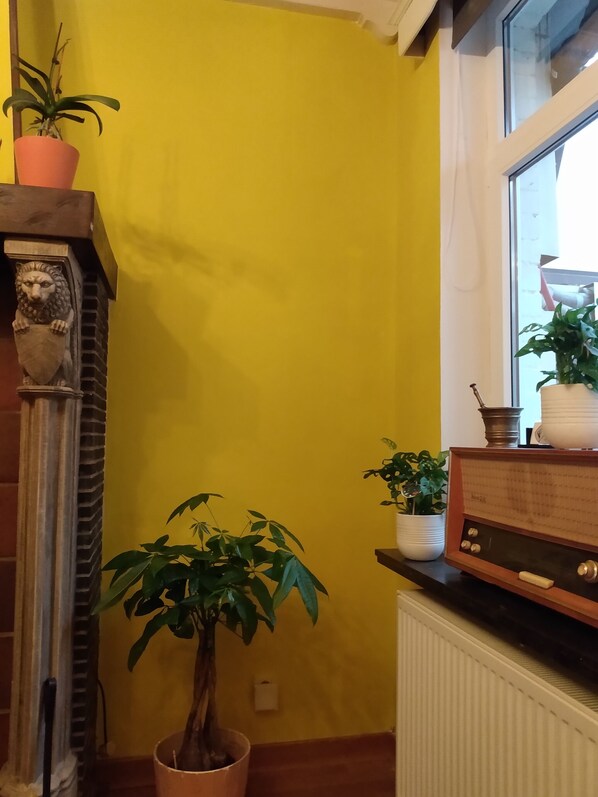 A room with a yellow wall, a wooden mantel with a lion sculpture, a potted plant, a radiator, and a wooden shelf with a radio and another plant. - A vacation house for a family/ group of 4 in Ghent (Gent)