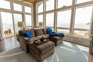 Fireplace, DVD player, books, video library