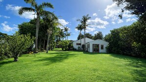 A white house with a large lawn, surrounded by palm trees and other greenery. - Matapouri Hideaway - Matapouri Holiday Home (Matapouri)