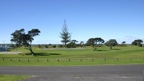 A grassy area with trees and a road in the foreground.