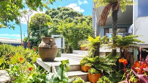 A garden with various plants and a large pot on steps.