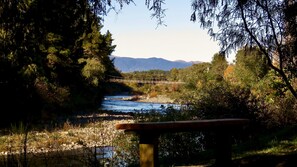 Property grounds - Tongariro Riverside holiday house (Turangi)