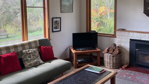 A cozy living room with a sofa, a television, a fireplace, and large windows offering a view of trees. - Tongariro Riverside holiday house (Turangi)