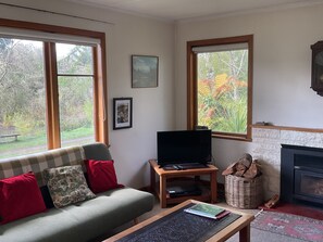 Televisio, takka, DVD-soitin, videokirjasto