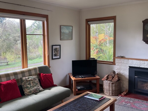Smart TV, fireplace, DVD player, books