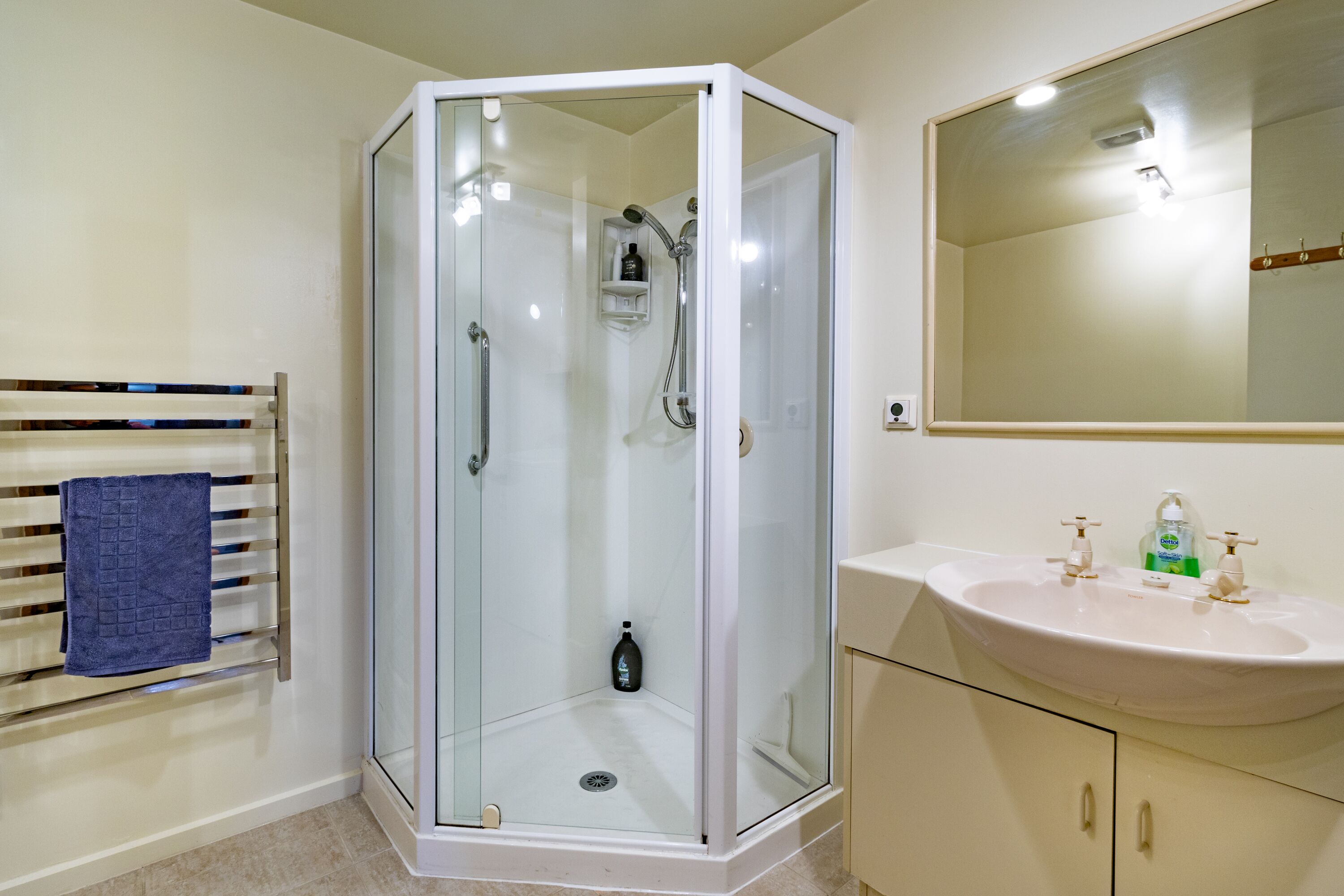 Shower, hair dryer