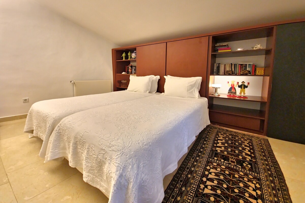 A bedroom with two beds, a bookshelf, and a patterned rug.