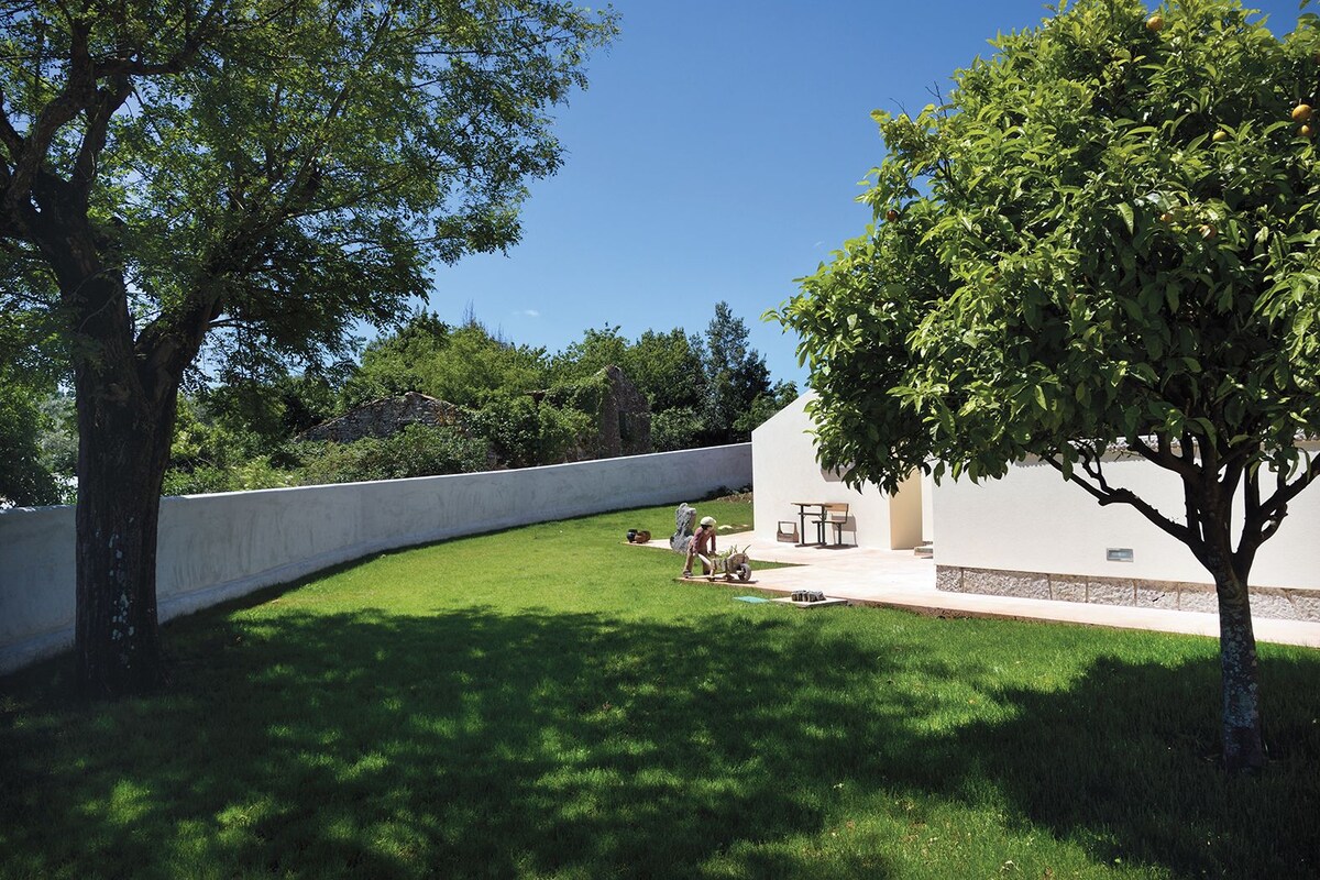 A backyard with a lawn, a tree, and a small patio area with outdoor furniture.