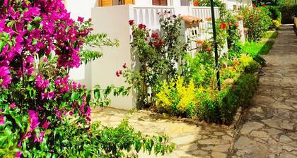 Cozy apartment 1000 meters from the beach