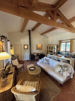 TV, books, computer monitors