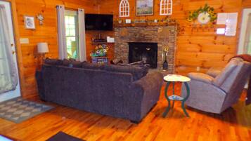 TV, fireplace, DVD player, books