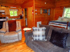 Fernseher, Kamin, DVD-Player, Bücher