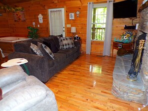 TV, fireplace, DVD player, books